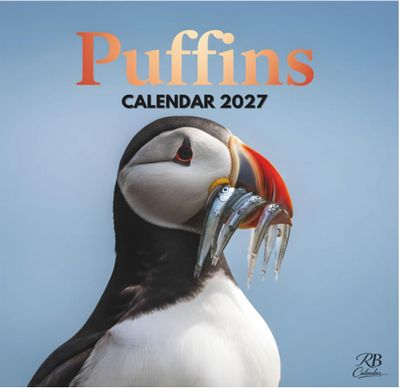 Puffins 2027 Calendar