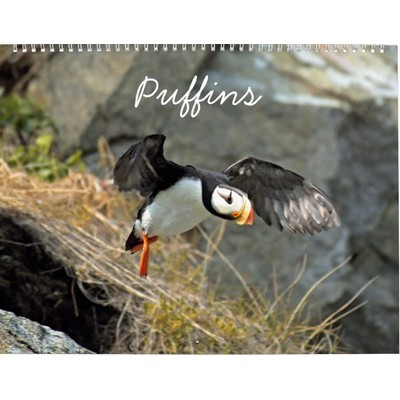 Puffins 2027 Wall Calendar