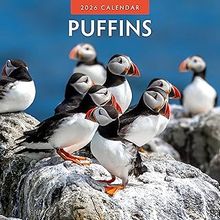 Puffins 2026 Calendar