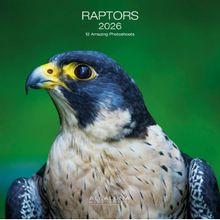 Raptors 2025 Calendar