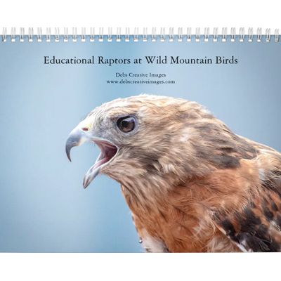 2027 Educational Raptors at Wild Mountain Birds Calendar