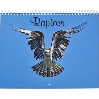 Raptors 2027 Calendar