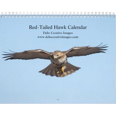 Red-Tailed Hawk in the Hudson Valley Calendar
