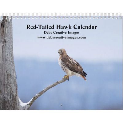2027 Red-Tailed Hawks in the Hudson Valley Calendar