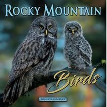 Rocky Mountain Birds 2026 Calendar