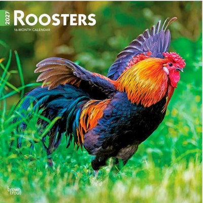 Roosters 2027 Wall Calendar