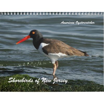 Shorebirds of New Jersey Calendar