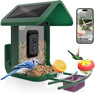 Smart Camera Bird Feeder 2K Live Feed Cam for Backyard