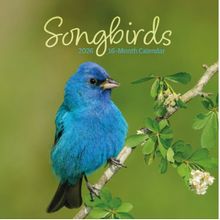 Songbirds 2026 Wall Calendar