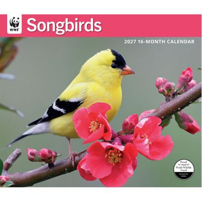 WWF Songbirds 2027 Wall Calendar