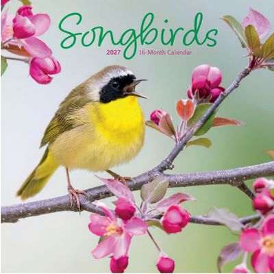 Songbirds 2027 Mini Wall Calendar
