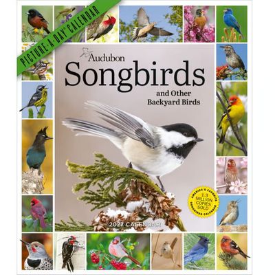 Audubon Songbirds and Other Backyard Birds Picture-A-Day 2027 Wall Calendar