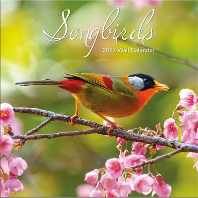 Songbirds 2027 Wall Calendar
