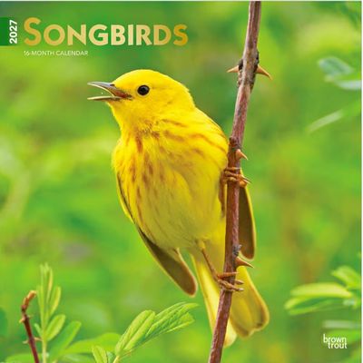 Songbirds Square 2027 Wall Calendar