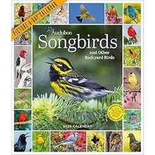 Audubon Songbirds And Other Backyard Birds Picture-A-Day® Wall Calendar 2026