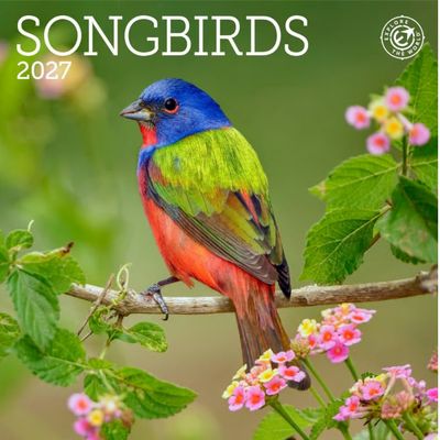 Songbirds 2027 Mini Wall Calendar