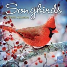 Songbirds 2026 Wall Calendar