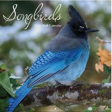 Songbirds 2026 Wall Calendar