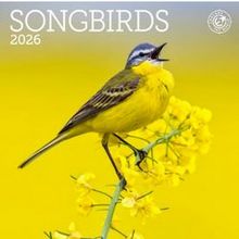 Songbirds 2026 Mini Wall Calendar