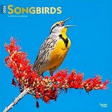 Songbirds 2026 Calendar