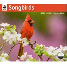 Songbirds 2026 Calendar