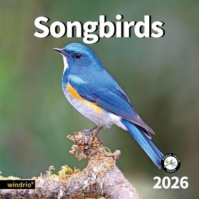 Songbirds 2026 Calendar