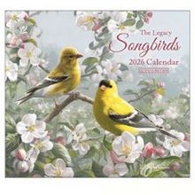Songbirds by Hautman Brothers 2026 Wall Calendar