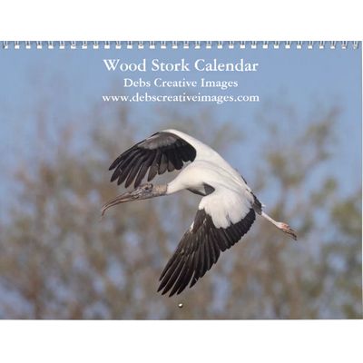 2027 Wood Storks of Florida Calendar