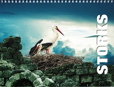 Storks 2027 Wall Calendar