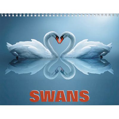 Swans 2027 Wall Calendar