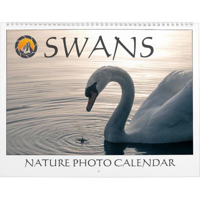 Swans Nature Photos 2027 Calendar