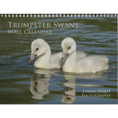 Trumpeter Swan 2027 Wall Calendar