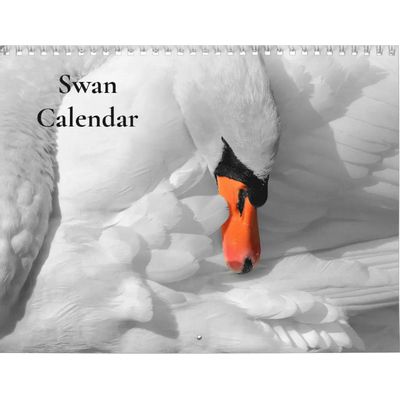 Swan 2027 Wall Calendar