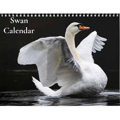 Swan 2027 Wall Calendar