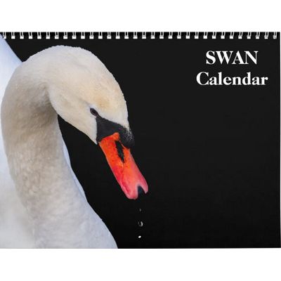 Swan 2027 Wall Calendar