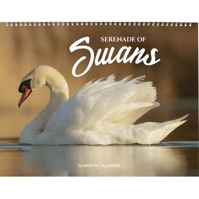 Serenade of Swans 2027 Calendar