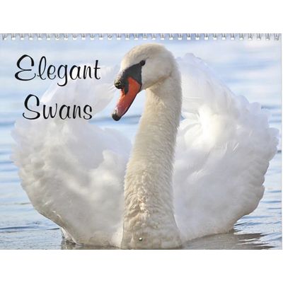Elegant Swans 2027 Calendar
