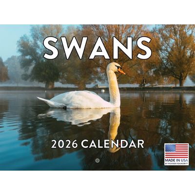 Swans 2026 Wall Calendar