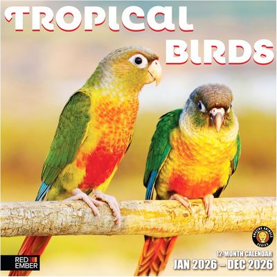 Tropical Birds 2026 Calendar