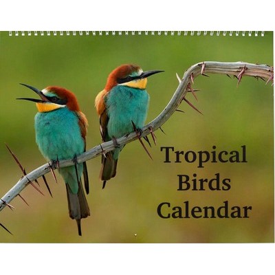 Tropical Birds 2027 Calendar