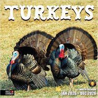 Turkeys 2026 Wall Calendar