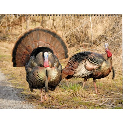 Wild Turkeys 2027 Wall Calendar