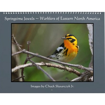 Springtime Jewels - Warblers Calendar