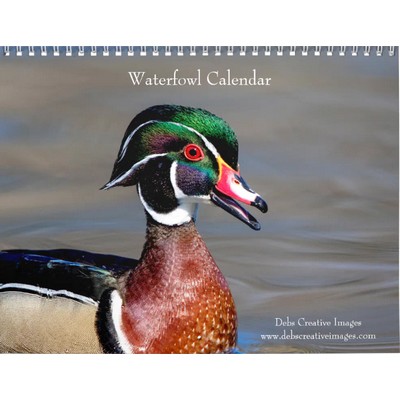 Waterfowl 2027 Wall Calendar