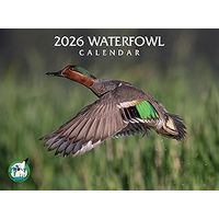 Waterfowl 2026 Calendar