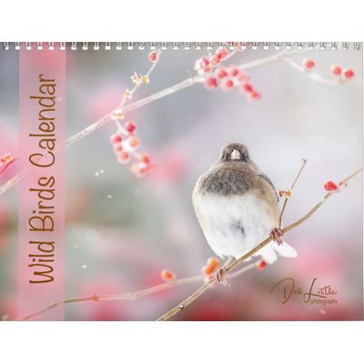 Wild Birds 2027 Calendar