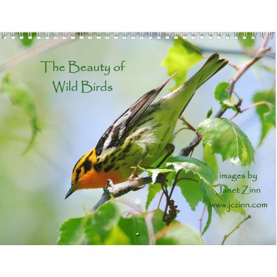 Wild Birds 2027 Calendar