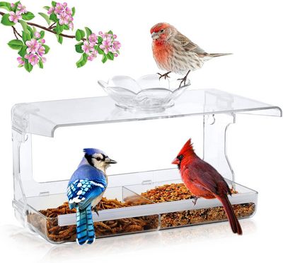 Window Bird Feeder with Non-Marking Self-Adhesive Hooks