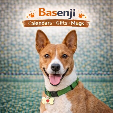 Basenji Shop
