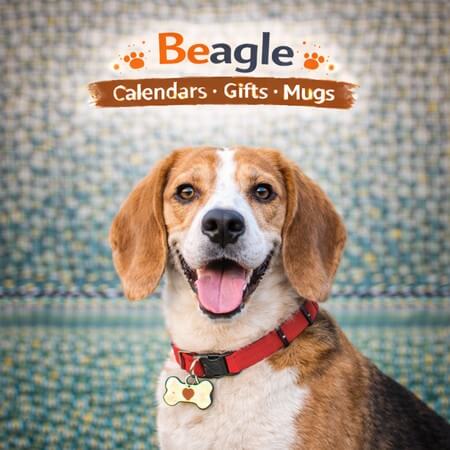 Beagle Store